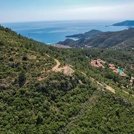 Arokarya Φετιγιέ